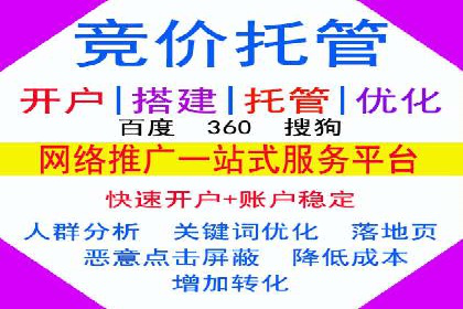 百度竞价代运营的成功案例：从零到一的突破